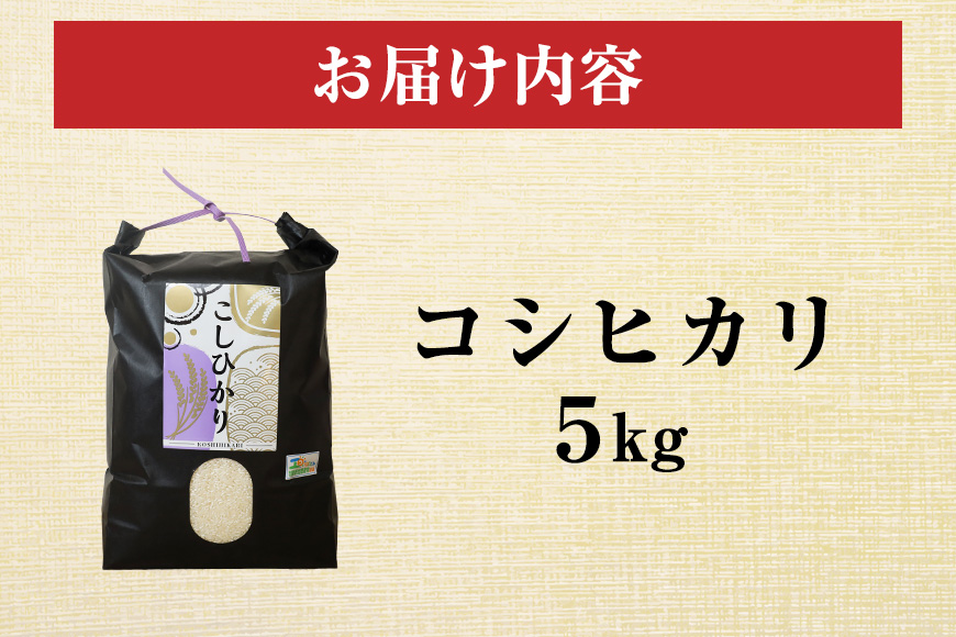 令和7年度産 笠間 塙商店の コシヒカリ 5kg 米 新米 精米 ブランド米 お米 白米 国産 おにぎり 弁当 R7年産 ごはん おいしい 旨い ふっくら お米 茨城県 笠間市 いばらき