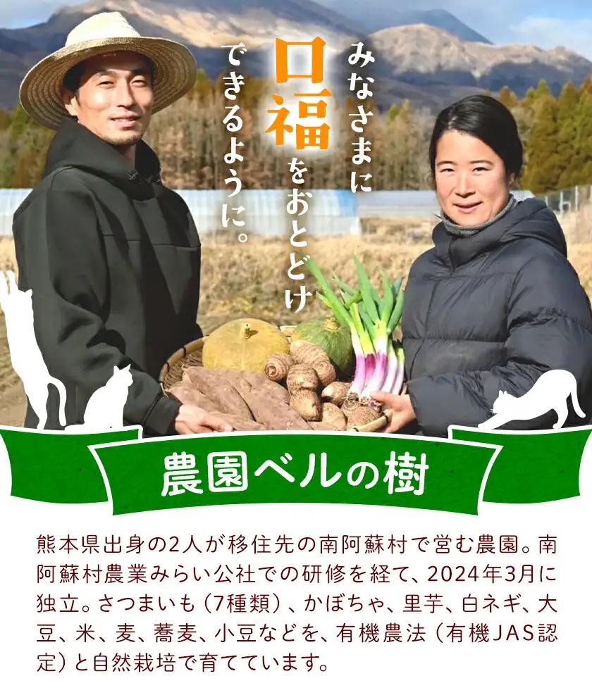 有機JAS認定 紅はるか 10kg 農園ベルの樹熊本県 南阿蘇村 さつまいも オーガニック 有機栽培 薩摩芋