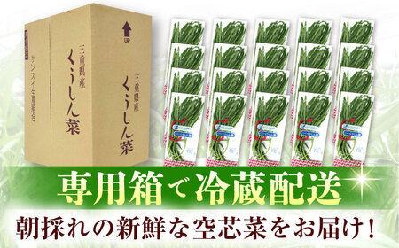 【3回定期便】新鮮朝採れ くうしん菜 計30袋 / 亀山市 / グリーンハウス吉田[AMCD003]