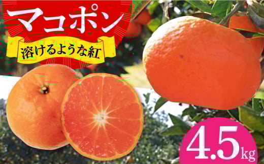 【先行予約】＜ デコポン の子供＞ マコポン 4.5kg ー2025年12月下旬より発送ー 長与町/井上柑橘園 [EAA006] みかん ミカン 先行予約 まこぽん マコポン デコポン オレンジ おれんじ  果物 くだもの フルーツ 柑橘 かんきつ 稀少 希少