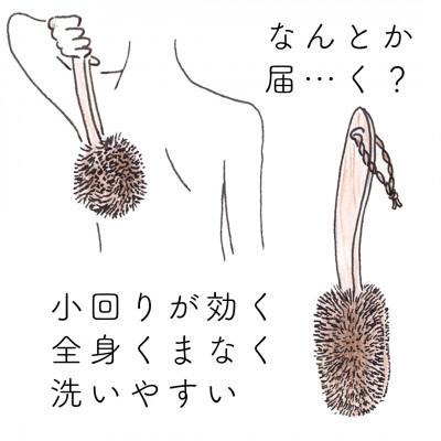 ふるさと納税 高野町 高田耕造商店　しゅろのやさしいたわし　からだ用　檜柄　短 |  | 02