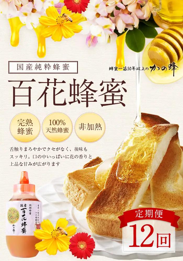 【全12回】定期便 かの蜂 国産 百花蜂蜜 12kg（とんがり容器1kgを毎月1本お届け） はちみつ 024-T001