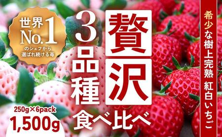 【完熟クラフト苺BERRY】有名シェフ御用達【樹上完熟いちご 欲張り３種セット（白いちご＋赤２品種）】約1500g（出荷2025年12月上旬～2026年5月下旬）