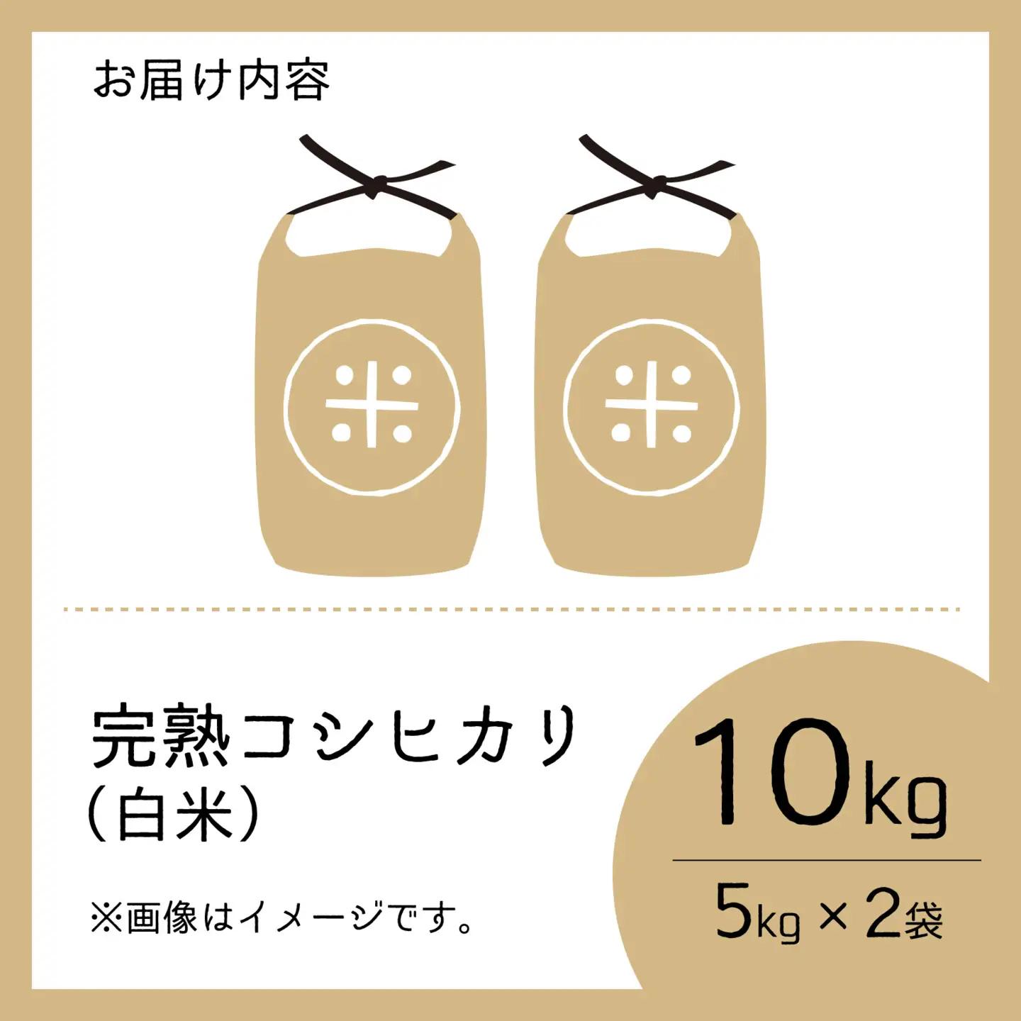 【先行予約】【令和8年産 新米】くらもち完熟米 コシヒカリ 白米 10kg（5kg × 2袋）