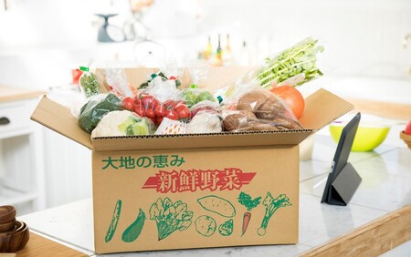 2395R_7月からお届け!おおいたの旬野菜定期便/計3回発送