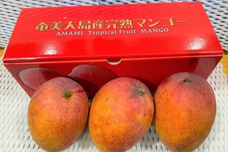 【2026年 先行予約】奄美完熟マンゴー 訳あり 家庭用 約1kg(2～3玉入り) 農家直送！