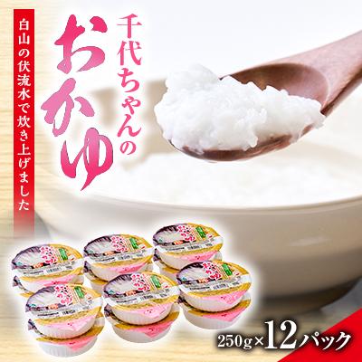 ふるさと納税 白山市 お手軽七分かゆ　「千代ちゃんのおかゆ」　パックおかゆ(250g×12パック)