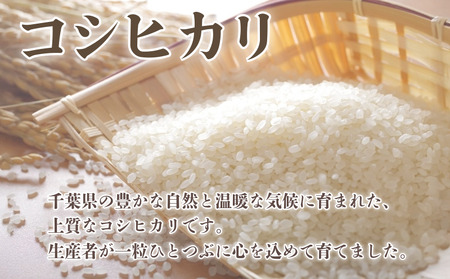 コシヒカリ 5kg 令和7年産 コシヒカリ