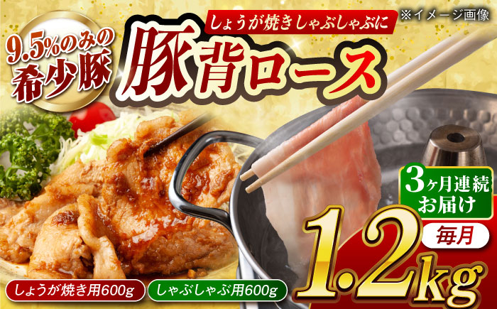 
                  【月1回約1.2kg×3回定期便】大西海SPF豚 背ロース しょうが焼き用＆しゃぶしゃぶ用 計約3.6kg 長崎県/長崎県農協直販 [42ZZAA085]
                