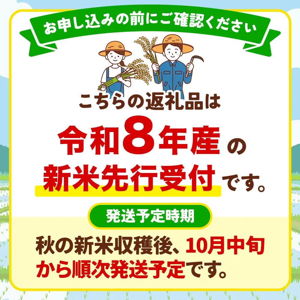 《令和8年産新米先行受付》【定期便10ヶ月】 あきたこまち 精米（白米）5kg（5kg×1袋）令和8年産 秋田食糧卸