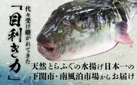 ふぐ鍋 3-4人前 500g 冷凍 ちり鍋 海鮮鍋セット 魚介 冬 フグ BV