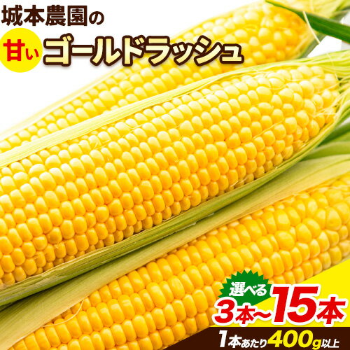 【ふるさと納税】産地直送 朝採れスイートコーン(ゴールドラッシュ) 選べる内容量 3本セット 15本セット 10本セット 特大 熊本 阿蘇 産山村 冷蔵 高糖度 夏野菜 トウモロコシ ギフト 今が旬 コーン 旬 お取り寄せ 城本農園 とうきび 送料無料《2026年7月中旬-8月中旬出荷》