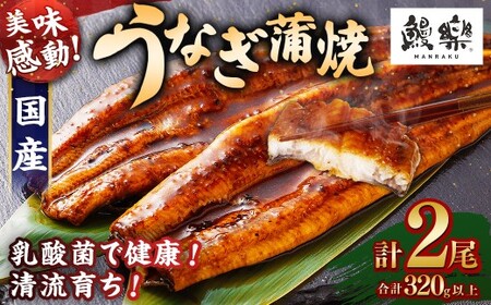 国産うなぎ！＜うなぎ 国産 うなぎ蒲焼 2尾 320g以上＞ ふるさと納税 うなぎ 高級 長蒲焼 鰻 夏バテ防止 ウナギ 鰻 かば焼き 蒲焼き 丑の日 タレ 宮崎県産 国産 九州産 宮崎県 高鍋町 送