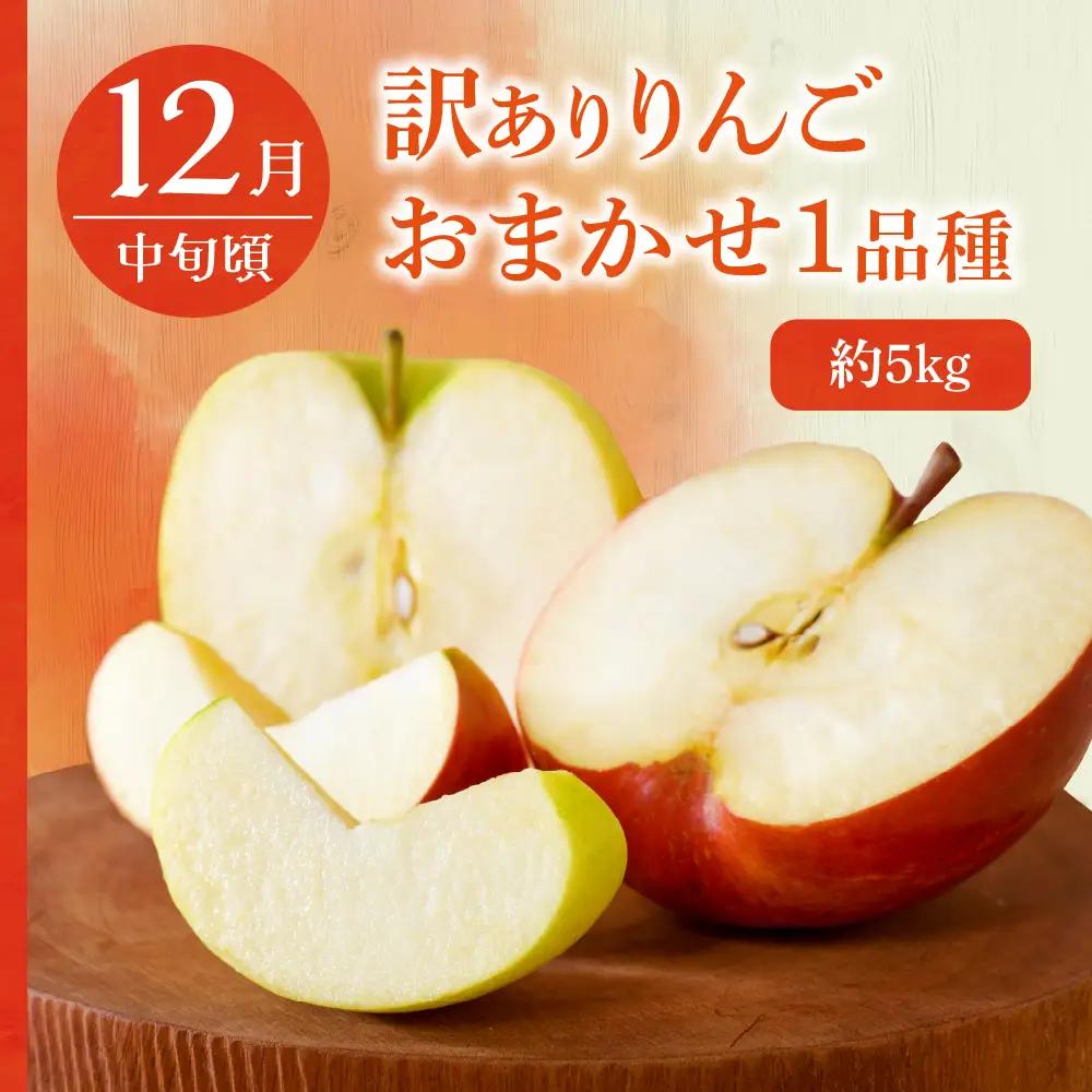 【2026年7月発送開始】 フルーツ定期便【3回】（訳ありセット）緑肉メロン、りんご、ピオーネ | フルーツ定期便