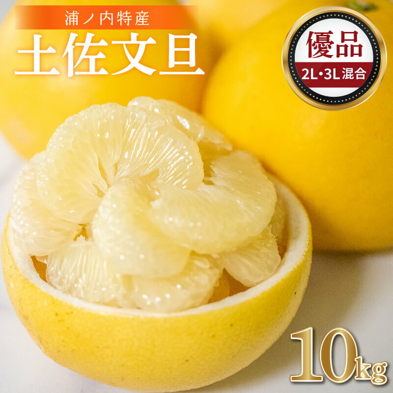 【早期予約開始!!2026年2月頃より順次発送】【ふるさと納税】 浦ノ内特産 土佐文旦 10kg 優品 2L ・ 3L 混合 | みかん 蜜柑 柑橘 文旦 大玉 10キロ 明神果樹園 人気 ランキング 数量限定 期間限定 高知県 須崎市 ふるさと納税果物 MKJ006_x