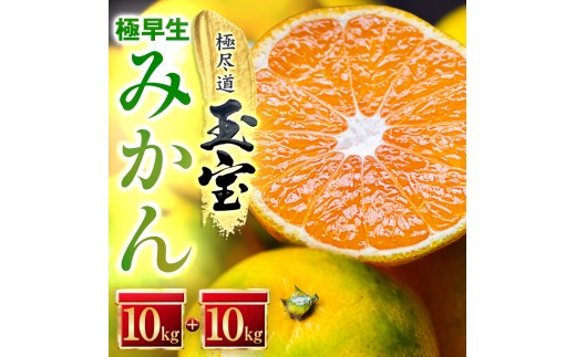 ＜愛媛名産＞極早生みかん＜雫・・小玉＞ 20kg＜H64-25＞【1510678】 YWTY014