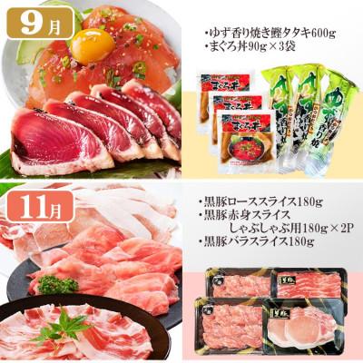 ふるさと納税 枕崎市 定期便6回配送　満足つめこみセット　GG5-0002 |  | 03