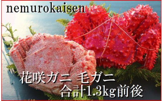 D-57039 【北海道根室産】花咲ガニ1尾・毛がに1尾(2種計1.3kg前後)