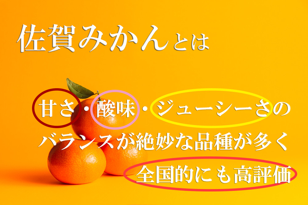 DV146_【計７回】柑橘好きのための佐賀みかん定期便