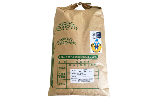 【令和8年産新米先行予約】山形市 村木沢産 はえぬき玄米 10kg FY26-066