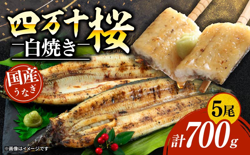 【通常用】極上国産うなぎ四万十桜　白焼き約140g×5尾 | うなぎ 鰻 蒲焼き 国産 四万十鰻 白焼き 調理済み タレ付き 家庭用 高級 お取り寄せ グルメ 食べ比べ 冷凍