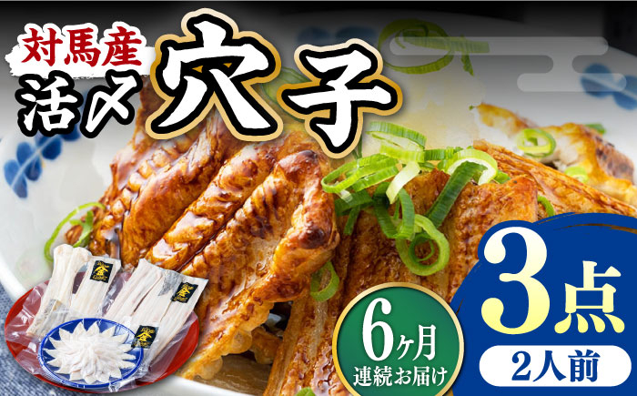 
                  【全6回定期便】対馬産 活〆 穴子 ３点 セット B【THE・対馬株式会社】《対馬市》新鮮 あなご 刺身 天ぷら 海鮮 肉厚 簡単調理 二人前 [WAS010]
                