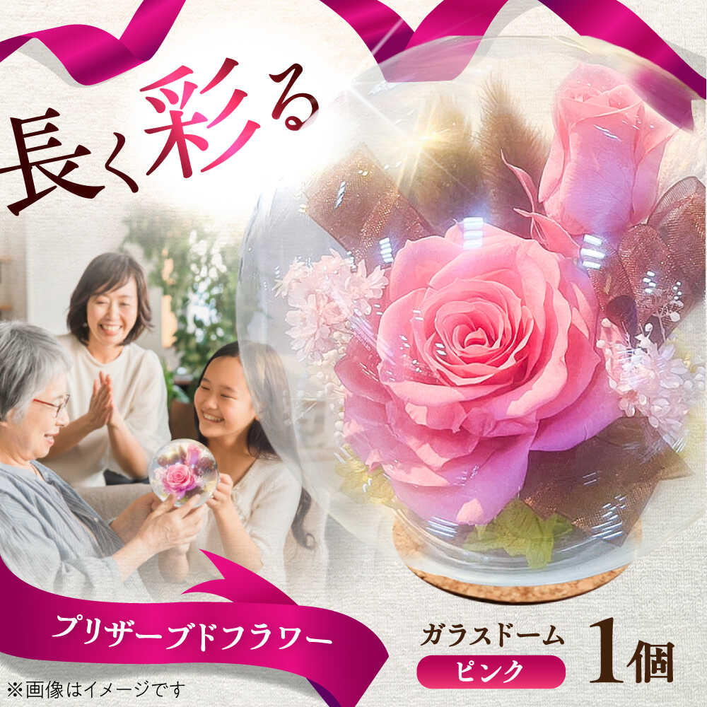 【ふるさと納税】プリザーブドフラワー　ガラスドーム (ピンク) / プリザーブド フラワー ガラス ドーム 花 プレゼント 誕生日 記念日 結婚祝い 母の日 父の日 敬老の日 開店祝い 新築祝い 入学式 卒業式 枯れない 長持ち 菊陽 熊本【株式会社 美向】[BHDC006]