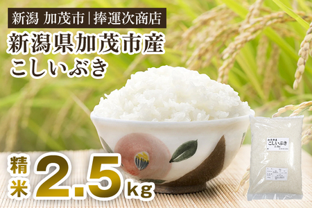 【令和6年産米】加茂市産こしいぶき（精米） 2.5kg（2.5kg×1）白米 米 加茂市 捧運次商店