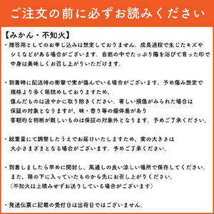 九州・福岡フルーツ王国八女　お楽しみ旬のフルーツ定期便【全６回】Ｂ｜＜配送不可：北海道・沖縄・離島＞　072-T012