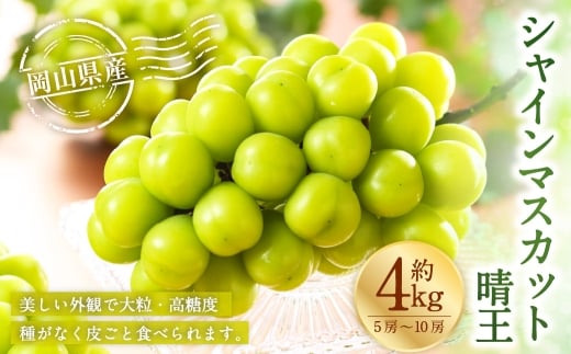 岡山県産 シャインマスカット 晴王 約4kg （ 5房～10房 ） ぶどう ブドウ 葡萄 マスカット 果物 くだもの フルーツ 国産 【 2026年8月下旬～11月下旬発送予定 】