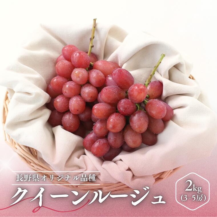 MS35 ぶどう クイーンルージュ®（長野県産秀品） 約2kg / 2026年10月中旬～11月上旬頃 配送予定//稀少 新品種 長野県 南信州 高糖度 葡萄 ブドウ クインルージュ 甘い 種なし 皮