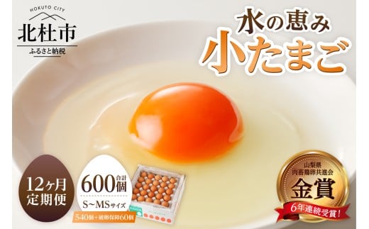 【12ヶ月定期便】水の恵み小卵　たまご S～MS サイズ 小玉 卵 鶏卵 45個 定期便 12ヶ月 水の恵み 小卵 破卵保証5個入り 小ぶり 濃厚 山梨県 北杜市産 ハイチック 明野農場