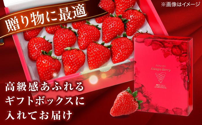 島根県産 イチゴ 苺 紅ほっぺ 松江市 農園 アダージョベリー 完熟 モーツァルト 大粒 フルーツ 果物 ギフト