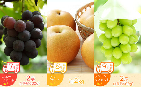 旬のオススメ単品定期便【全12回】 |フルーツ 旬 美味しい 新鮮 フルーツ 詰合せ セット フルーツ 人気 フルーツ 厳選 おすすめ フルーツ