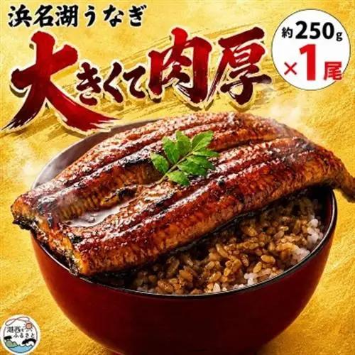 大豆イソフラボンで育てた浜名湖うなぎ蒲焼「やわら華」大きくて肉厚 (約250g×1尾)【配送不可地域：離島】【1729563】