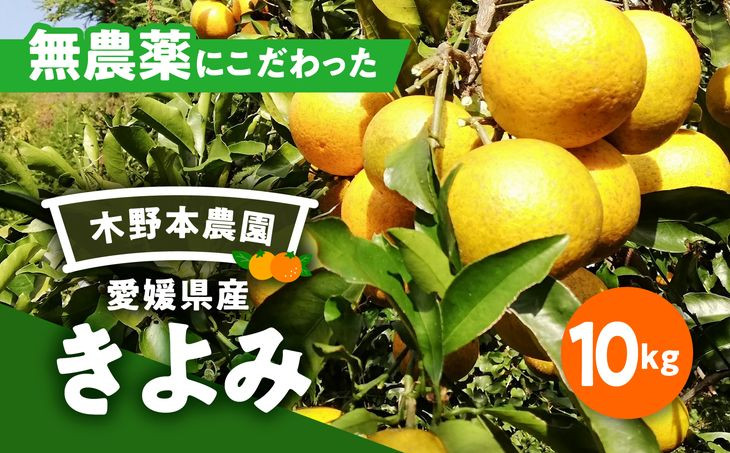 
【栽培期間中農薬不使用】【先行受付】【数量限定】農園直送！愛媛県産 きよみ 10kg ｜ 柑橘 みかん ミカン 蜜柑 フルーツ 果物 ギフト 贈り物 栽培期間 無農薬 愛媛県産　※2025年2月下旬～5月下旬頃に順次発送予定
