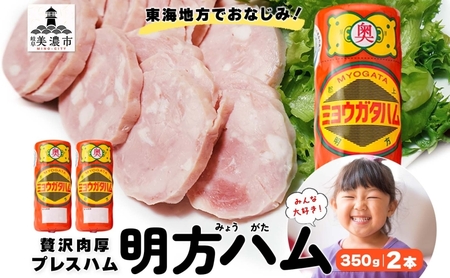明方ハム プレスハム 豚肉 国産 明方ハム【2本】