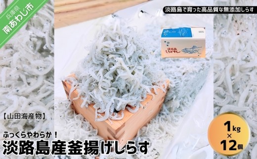 
                  淡路島のふっくらやわらかい「釜揚げしらす干し」 1㎏入り×12個〈合計12㎏〉
                