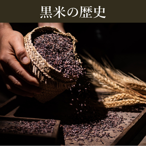 定期便 12ヶ月 ご飯パック 金賞 健康米 玄米・黒米 120g×12個入り ごはん パック ご飯 パックライス