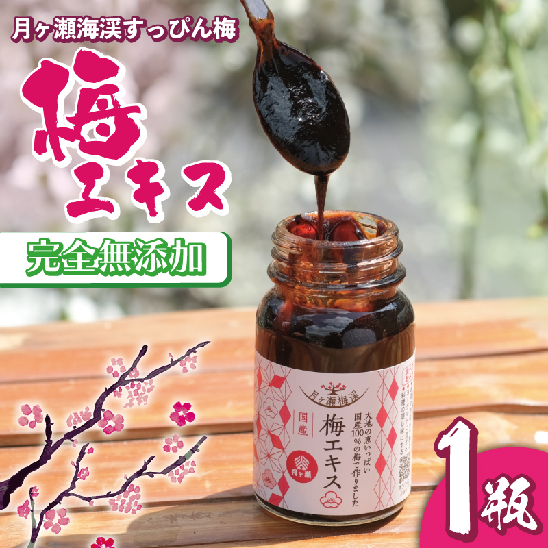 I-247 月ヶ瀬梅渓名産　　梅エキス