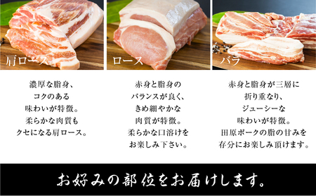 《部位選べる》国産 豚肉 ブロック 1kg ロース バラ 肩ロース 田原ポーク