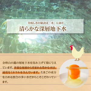 日照時間日本有数の環境で育てた金賞受賞の明野たまご50個入り　定期便（全6回）