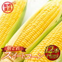 【ふるさと納税】糖度19度以上 朝どれスイートコーン12本/4kg以上 （2L～3L）