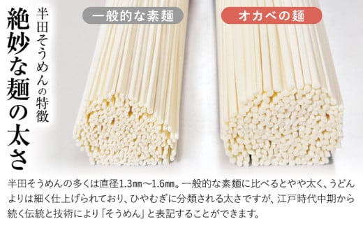 半田そうめん「オカベの麺」 1束90g 13束 《2026年6月発送》徳島県 美馬市 株式会社オカベ 半田そうめん オカベの麺 素麺 乾麺 送料無料 めんつゆ無し