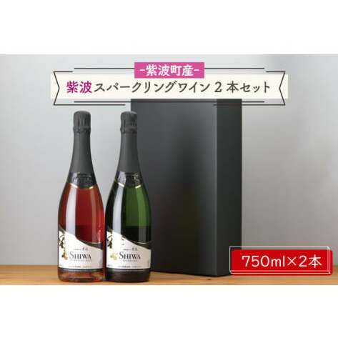 AL065-1 産地限定 ワインぶどう品種使用 紫波スパークリングワイン２本セット 白・ロゼ 紫波町産 テロワール ワイン