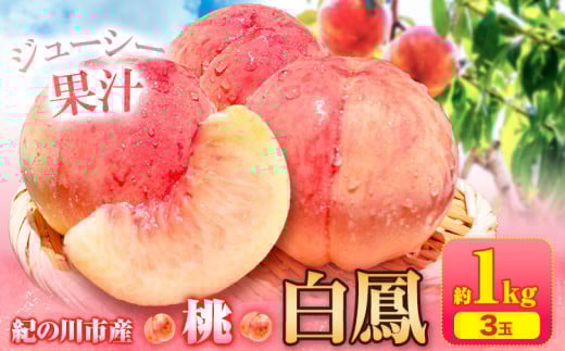 桃 白鳳 紀の川市産 約1kg(3玉入り)  紀農人株式会社《2025年6月末-8月末頃出荷》和歌山県 紀の川市 果物 フルーツ 桃 もも モモ 旬