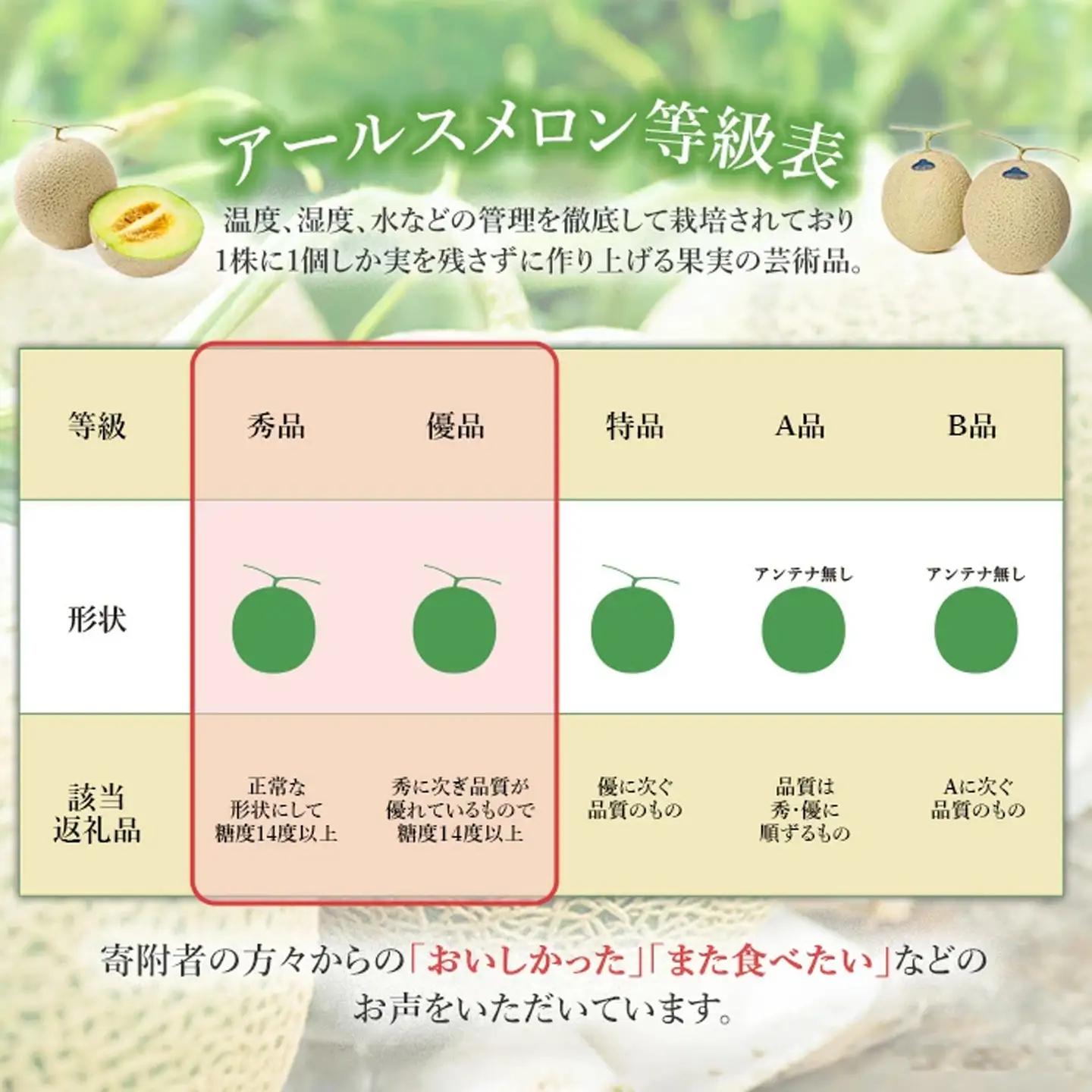 メロン 茨城県産 R8年産 アールスメロン 約2.5kg 2個