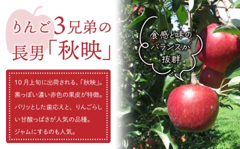 東御市産りんご　長野県オリジナル品種「秋映」3kg ※9月下旬～順次発送予定