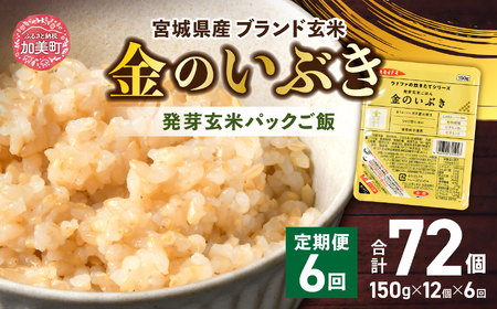玄米 発芽玄米パックごはん【6回定期便】 玄米 玄米 玄米