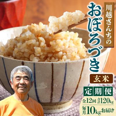 ふるさと納税 雨竜町 【定期便全12回】令和8年産 川越さんちの おぼろづき 玄米 10kg(5kg×2袋) 毎月1回お届け